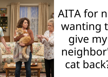 A Missing Cat Turns Up On A Balcony And Starts A Neighborhood Fight
