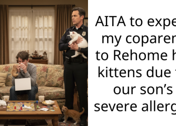 Coparent Is Asked To Rehome His Kittens Due To Son’s Severe Allergy, AITA To Expect It?