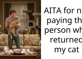 Man Finds Lost Cat, Insists On $60 Payment For 24-Hour Care Before Returning It