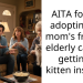 Redditor Guilt-Tripped By Mom For Adopting Kitten Instead Of Her Friend’s Elderly Cat