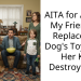 Defensive Mom Reacts After Friend Tells Her To Replace Dog’s Toy Ruined By Her Child