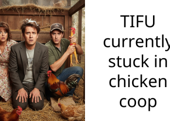 Redditor Shares Live Updates While Stuck In A Chicken Coop On A Rainy And Muddy Day
