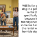 Housemates Unleash Fury on Lady After She Insists on Getting a Dog in Their Pet-Friendly Rental, Even After Finding Out That One of Them Has a Severe Dog Allergy