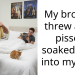 Teen’s Funny Invoice To Brother For Cat-P**s Prank Delights Redditors