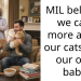 New Mother Stands Up to Mother-in-Law’s Attempt to Evict Beloved Cats Upon Baby’s Arrival