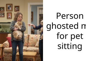 Girl Ghosts Redditor After Agreeing to Petsit Her Cat; Redditor Takes Revenge and Ruins Her Career