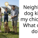 Man Reports Neighbor’s Dog for M***ering His Beloved Chickens, Seeks Legal Advice Online as the Case Was Dismissed