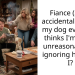 Lady Ignores Her Fiancé After He Got Drunk and Accidentally K**led Her Dog; Everyone Terms Her Unreasonable