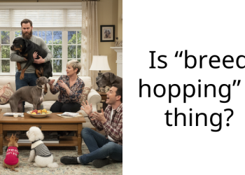 Is “Breed Hopping” A Thing? Reddit Knows The Answer