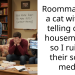Man Reports Roommate’s Social Media Account for Getting a “Secret” Cat Without Informing Other Roommates