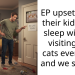 Redditor Declines Neighbor’s Request for His Kid to Visit Their Cats Before Bedtime, Gets Informed by Landlord to Keep the Cats Inside Due to the Child’s Alleged Allergy