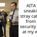 Lady Finds New Home For A Stray Cat That Was Hanging Around Her Workplace, But Security Guard Won’t Let Her Take It Out