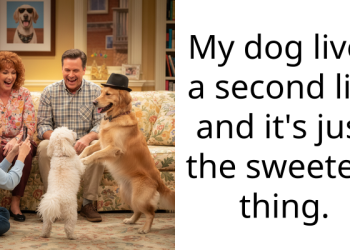 Dog Owner Shares How His Dog Lives A Precious Dual Life By Regularly Visiting A Bereaved Elderly Woman To Comfort Her
