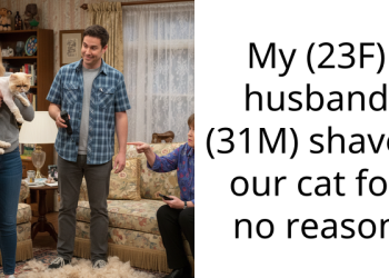 Husband Shaves Cat Without Wife’s Permission, Citing Annoyance With Her Shedding