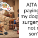 Devoted Mom Questions Her Priorities After Paying For Her Dog’s Expensive Surgery When She Can’t Afford To Do The Same For Her 26-Year-Old Son