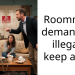 Redditor’s Roommate Demands To Keep A Dog Illegally, But They Find Out She Had Committed A Crime And Uses It Against Her