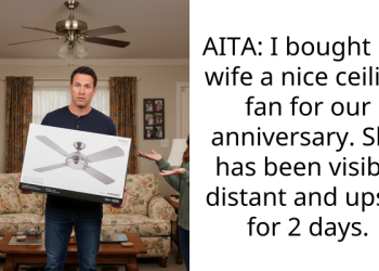 AITA: I bought my wife a nice ceiling fan for our anniversary. She has been visibly distant and upset for 2 days.