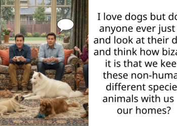 People Engage In A Philosophical Discussion About Why We Keep Dogs As Pets, And It Is Eye-Opening