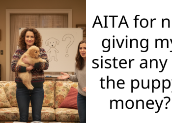 Man Refuses To Give His Sister Any Of The Puppy Money Because She Didn’t Help Out With Them