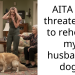 Redditor Threatens To Rehome Husband’s Dog After Her And Her Daughter’s Allergies Got Out Of Hand