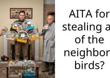 Redditor Asks If They Are Wrong For “Stealing” All Of Their Neighbors’ Birds