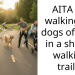 Person Gets Scolded By A Bicyclist For Walking Four Dogs Without A Lead On A Shared Walking Trail, And Is Confused Because Their Dogs Are “All Good Boys And Girls”