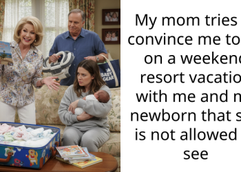 Mentally Uns**ble Mother Refuses to Accept She’s Not Allowed to See Her Grandchild, Tries to Trick the Redditor with Weekend Trip