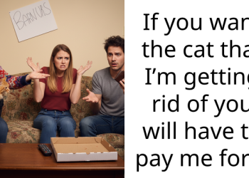 Redditor Generously Agrees to Adopt Giveaway Cat, Gets Slapped with Surprise £50 Fee Hours After Finalizing the Agreement
