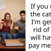 Redditor Generously Agrees to Adopt Giveaway Cat, Gets Slapped with Surprise £50 Fee Hours After Finalizing the Agreement