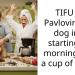 Dog Owner Accidentally Pavloved Her Dog to Start His Day the Moment He Smells Coffee Being Made