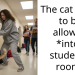 University Issues Ban On Cats In Student Dorms, Prompting Clever Acts Of Student Defiance