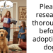 Redditor Vents Online While Advising People To Research Before Adopting A Dog To Avoid Rehoming Them Later