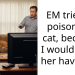 Ent*tled Mom Tries To Poison Her Family’s Cat Because They Won’t Let Her Have Him, Gets Caught And Thrown Out