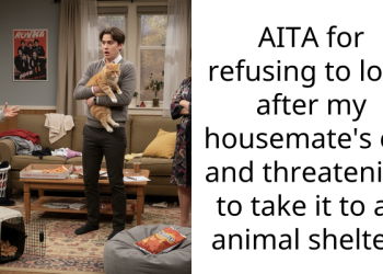 Woman Threatens To Take Housemate’s Cat To Animal Shelter After Being Left Alone With It For Months Despite Her Dislike For Cats