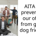 Redditor Gets Called ‘Selfish’ By Co-Workers For Not Agreeing To Let Their Office Become Pet-Friendly