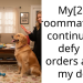 Dog Owner Doesn’t Know What To Do With Roommate Who Continues To Defy Instructions Regarding Her Dog