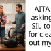 Woman Asks SIL To Pay For Cleaning Out Her Car After She Brought Her Dog Inside Without Permission