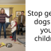 Dog Owners Discuss A Worrying Trend – Parents Not Wanting To Help Their Kids With “Their” Dogs