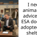 Aggrieved Owner Seeks Legal Advice Online As Her Support Dog Was Adopted At A Shelter Despite All Her Efforts To Get Him Back