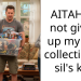 AITAH for not giving up my toys collection to sil’s kids