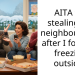 AITA for stealing my neighbours cat after I found it freezing outside?