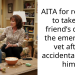 AITA for refusing to take my friend’s dog to the emergency vet after I accidentally hurt him?