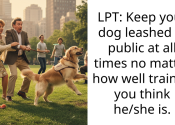 Reddit Thread Shows How Important It Is To Leash Dogs In Public, No Matter How Well Trained They Are