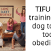 Reddit Comments That Show How Teaching Dogs To Be Too Obedient Can Be Troublesome