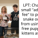 Is Charging An Adoption Fee Enough To Prevent Irresponsible Snake Owners From Using Free Puppies And Kittens As Snake Food – Debate Goes Viral