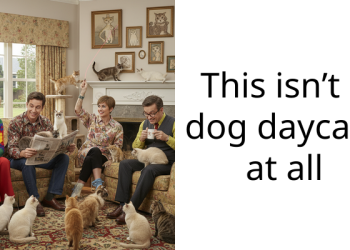 Wholesome Story About Redditor Who Realized He Wasn’t In Trouble For Using The Office As A Dog Daycare