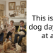 Wholesome Story About Redditor Who Realized He Wasn’t In Trouble For Using The Office As A Dog Daycare