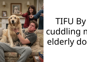 OP Shares How Their Elderly Dog P*ed While Cuddling, And The Redditors Love This Wholesome Moment