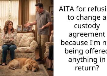 Reddit Dad Refuses To Modify Custody Agreement To Allow Son To Spend Time With His Brother, Demands Something In Return From Ex