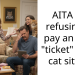 Redditor Gets Fined By HOA For Parking In The Driveway While Checking Up On Friend’s Cat, Now Friend Wants Redditor To Pay